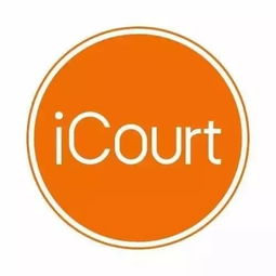 秒回客戶咨詢 iCourt財(cái)務(wù)咨詢?nèi)绾紊筛咝z索報(bào)告