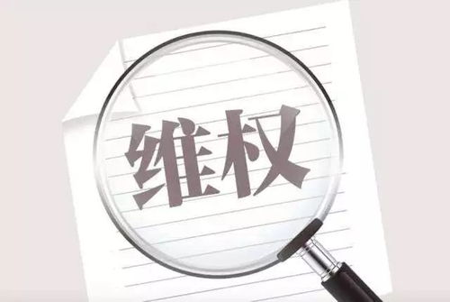 過年防侵權(quán)，法律為你護(hù)航